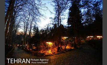 بوستان جمشیدیه 17