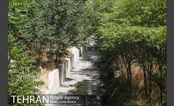 بوستان تندرستی 17