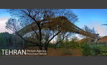 پاییز اراضی عباس آباد 2