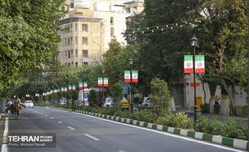 رفیوژ های همیشه سبز 9