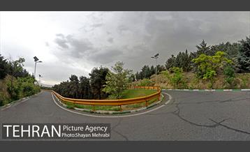 پارک جنگلی لویزان‎ 3