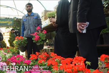 بازار گل شهید محلاتی در آستانه نوروز 7