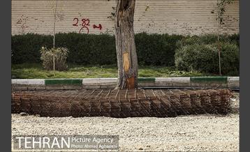 سنگ فرش شدن خیابان پامنار‎  20