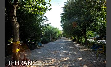 بوستان هنرمندان (ایرانشهر) 12