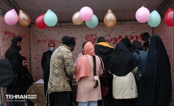 سالروز ولادت حضرت فاطمه(س) 11