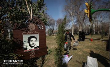 سنت حسنه درختکاری، یادبود شهدای منطقه6