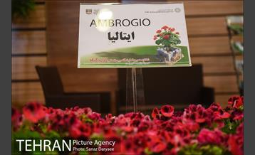شانزدهمین نمایشگاه بین المللی گل و گیاه تهران 4