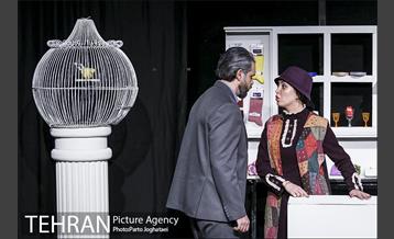 نمایش اطلسی های لگدمال شده 8