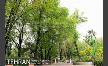 بوستان نیاوران 20