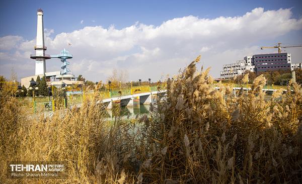 سمفونی رنگ های پاییزی - بوستان رازی 17