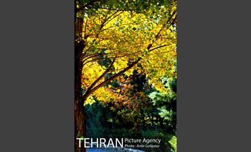 شهرک صدرا 12