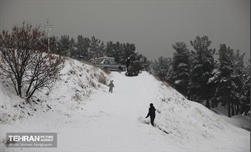 روز برفی تهران - 2 13