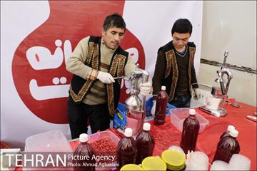 هفتمین جشنواره انار فرهنگسرای اشراق 20