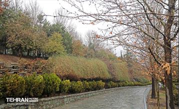 بارش باران زمستانی در تهران 25