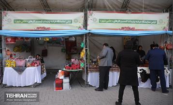 نمایشگاه عرضه تولیدات کسب و کارهای حامی شهر 22
