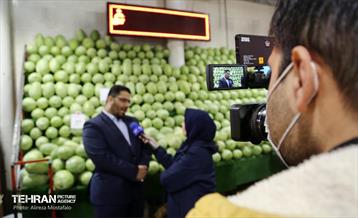 بازدید مدیرعامل سازمان تره‌وبار از میادین میوه 19