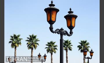 دریاچه و باغ هنر 6