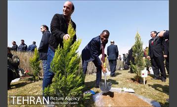 آیین کاشت درخت صلح و دوستی 38