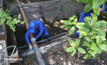 مبارزه با جانوران موذی 16