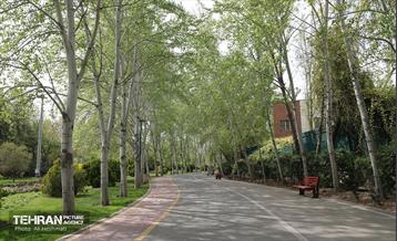 بوستان بانوان نرگس 2