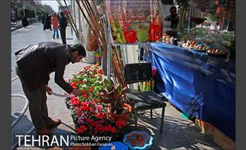 نمایشگاه گل و گیاه نوروزی در پیاده راه ۱۷ شهریور