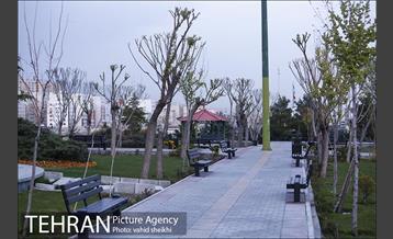 شب های آرام تهران 11