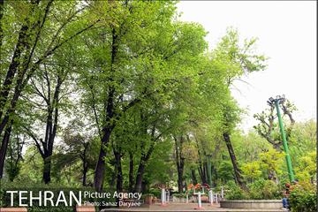 بوستان نیاوران 20