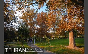 طبیعت پاییزی بوستان لاله 5