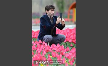 جشنواره لاله‌ها در بوستان زندگی محله هرندی 17