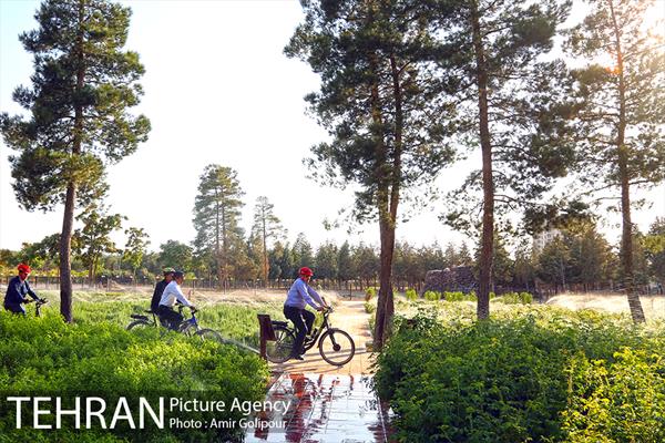 بازدید پیروز حناچی شهردار تهران از بوستان جنگلی چیتگر تا دریاچه شهدای خلیج فارس 11