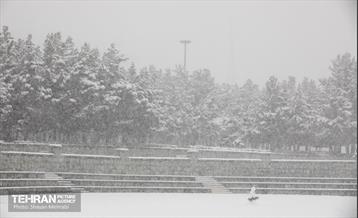 بارش برف زمستانی در تهران 26