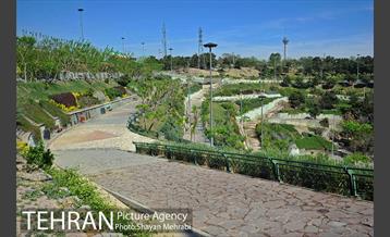 بوستان نهج البلاغه 8