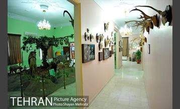 موزه حیات وحش هفت چنار 9