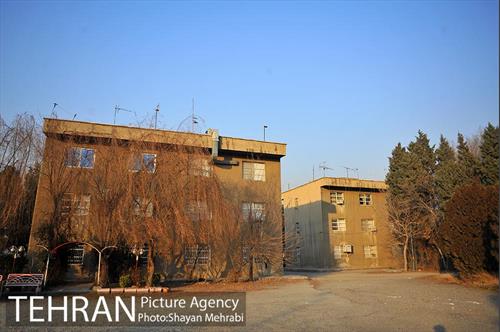 فراموش شدگان اداره منابع طبیعی در بوستان چیتگر 8