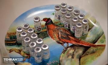 طرح واکسیناسیون افراد آسیب دیده اجتماعی و فاقد مدارک هویتی 36