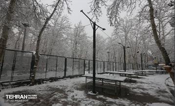 روز برفی در منطقه 8