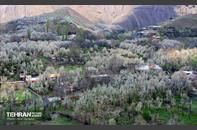 طبیعت بهاری روستای سنگان 1