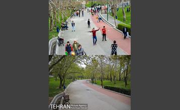 ملت بی ملت 16