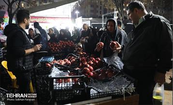 دوازدهمین جشنواره انار  1