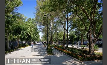 گذر پیاده راه استاد شهریار 4