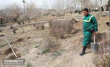 آئین غرس درخت به پاسداشت شهدای منطقه ۵ 40