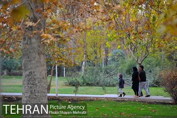 پاییز در پارک های تهران 15