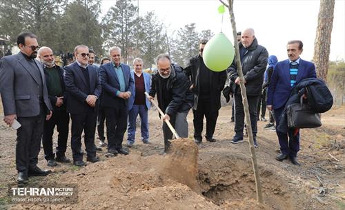 غرس ۲۷۸۲ نهال در سرخه‌حصار به یاد درگذشتگان جامعه پزشکی 19