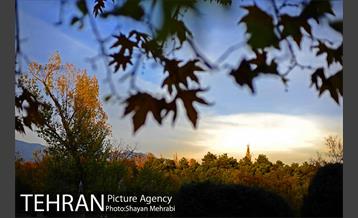 پاییز در بوستان ملت 18