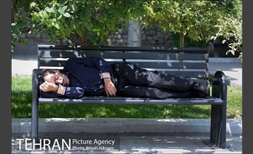 گشتی در خیابان ولیعصر(عج) 10