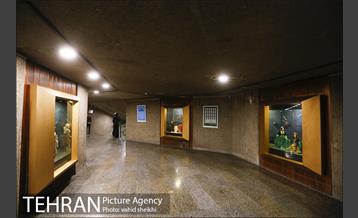 مجموعه فرهنگی هنری برج آزادی 2