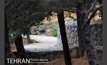 بوستان جمشیدیه 18