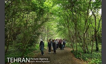 باغ گیاه‌شناسی ملی ایران 13