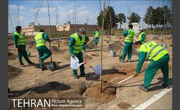 کاشت درخت میثاق در حرم امام خمینی 20