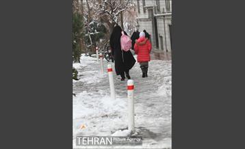 بارش برف در تهران 16